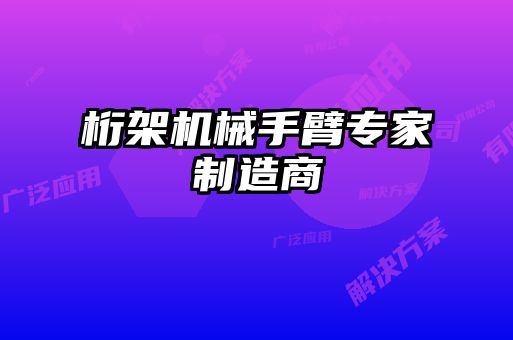 桁架機(jī)械手臂專(zhuān)家制造商