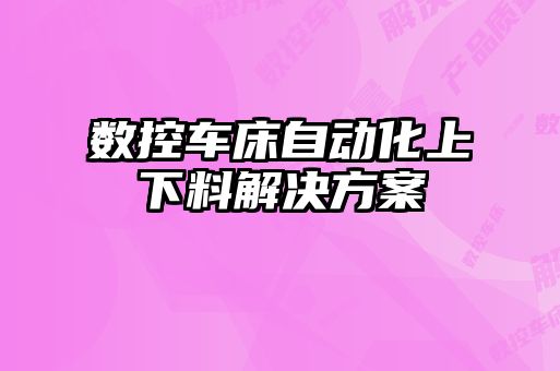 數(shù)控車(chē)床自動(dòng)化上下料解決方案