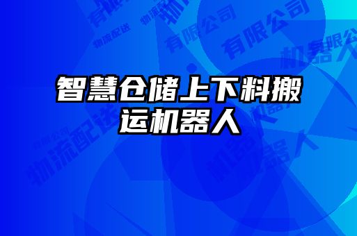 智慧倉儲上下料搬運(yùn)機(jī)器人